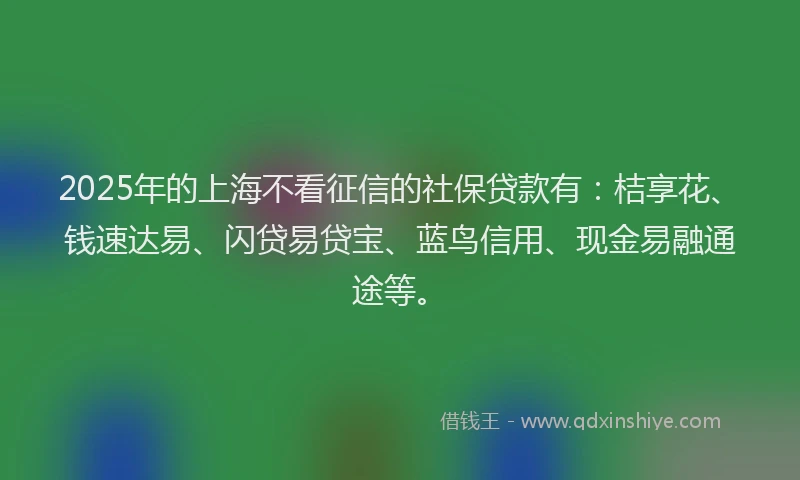2025年的上海不看征信的社保贷款有：桔享花、钱速达易、闪贷易贷宝、蓝鸟信用、现金易融通途等。