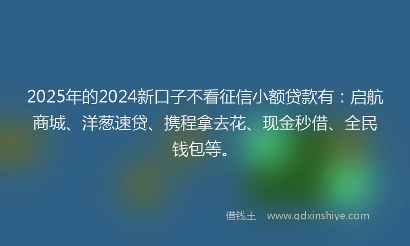 2025年的2024新口子不看征信小额贷款有：启航商城、洋葱速贷、携程拿去花、现金秒借、全民钱包等。