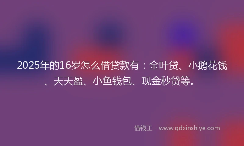 2025年的16岁怎么借贷款有：金叶贷、小鹅花钱、天天盈、小鱼钱包、现金秒贷等。