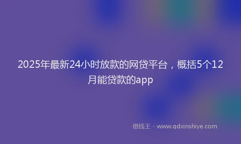 2025年最新24小时放款的网贷平台，概括5个12月能贷款的app