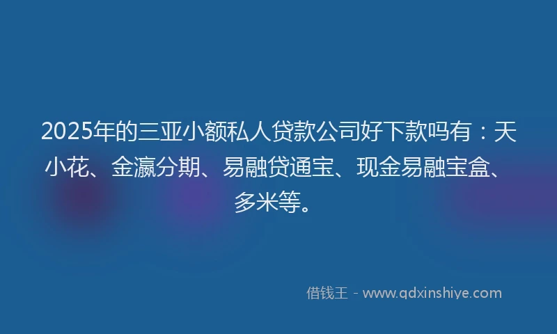 2025年的三亚小额私人贷款公司好下款吗有：天小花、金瀛分期、易融贷通宝、现金易融宝盒、多米等。