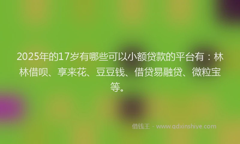 2025年的17岁有哪些可以小额贷款的平台有：林林借呗、享来花、豆豆钱、借贷易融贷、微粒宝等。