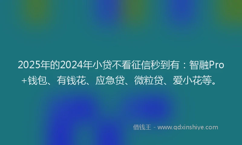 2025年的2024年小贷不看征信秒到有：智融Pro+钱包、有钱花、应急贷、微粒贷、爱小花等。