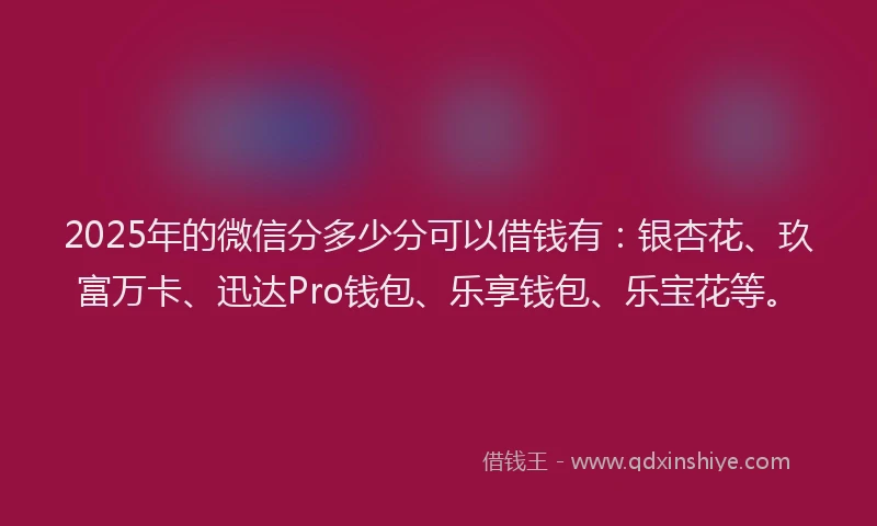 2025年的微信分多少分可以借钱有：银杏花、玖富万卡、迅达Pro钱包、乐享钱包、乐宝花等。