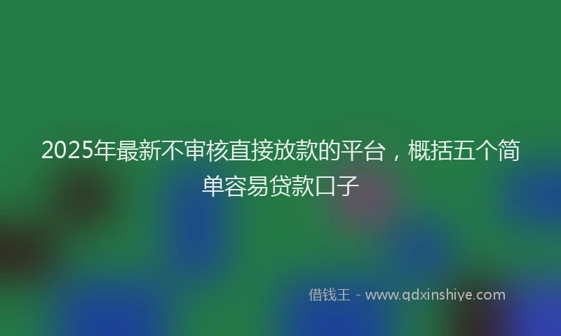 2025年最新不审核直接放款的平台，概括五个简单容易贷款口子