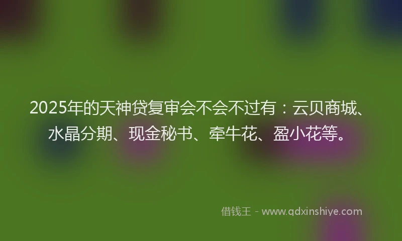 2025年的天神贷复审会不会不过有：云贝商城、水晶分期、现金秘书、牵牛花、盈小花等。