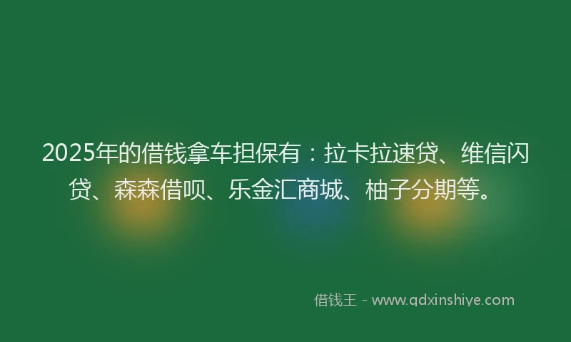 2025年的借钱拿车担保有：拉卡拉速贷、维信闪贷、森森借呗、乐金汇商城、柚子分期等。