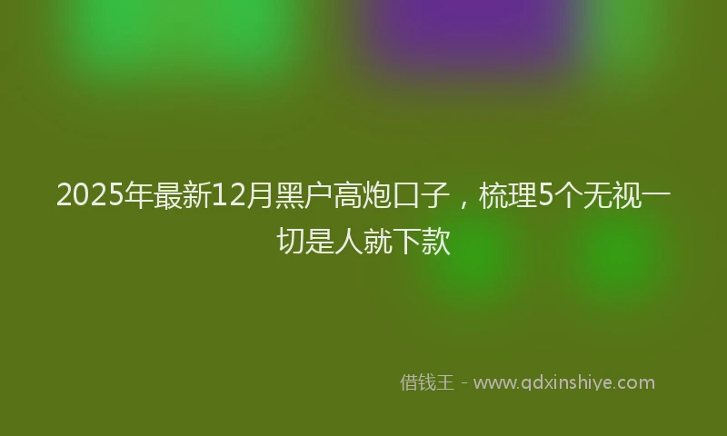 2025年最新12月黑户高炮口子，梳理5个无视一切是人就下款