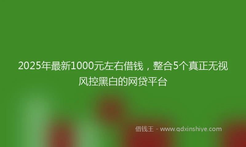2025年最新1000元左右借钱，整合5个真正无视风控黑白的网贷平台