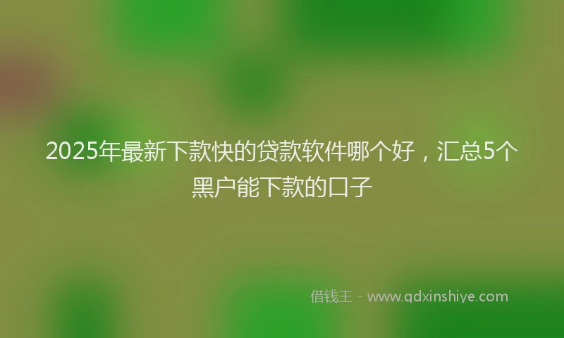2025年最新下款快的贷款软件哪个好，汇总5个黑户能下款的口子