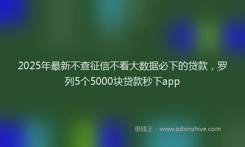 2025年最新不查征信不看大数据必下的贷款，罗列5个5000块贷款秒下app