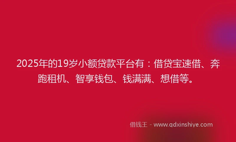 2025年的19岁小额贷款平台有：借贷宝速借、奔跑租机、智享钱包、钱满满、想借等。