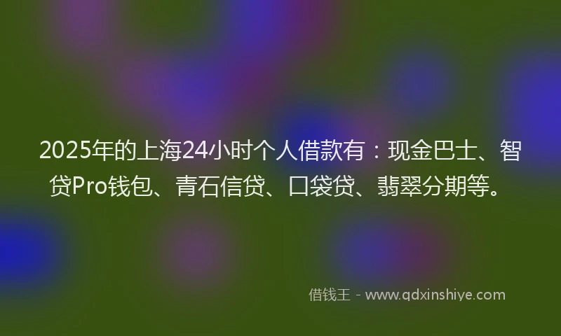 2025年的上海24小时个人借款有：现金巴士、智贷Pro钱包、青石信贷、口袋贷、翡翠分期等。