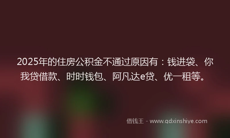 2025年的住房公积金不通过原因有：钱进袋、你我贷借款、时时钱包、阿凡达e贷、优一租等。
