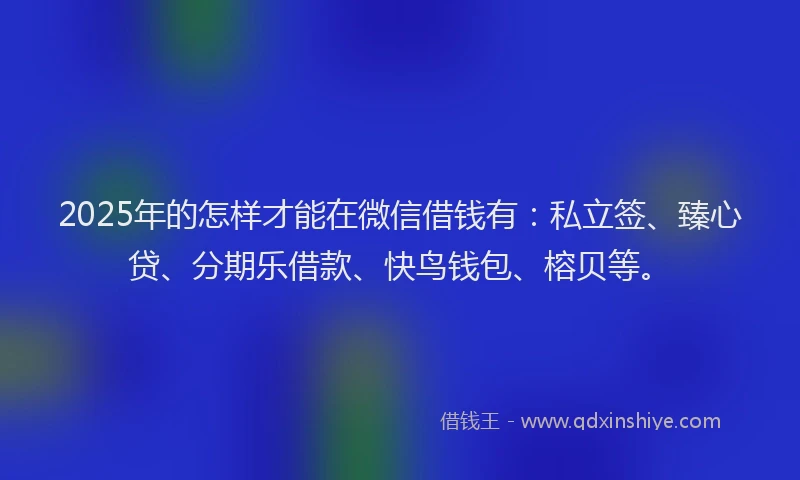 2025年的怎样才能在微信借钱有：私立签、臻心贷、分期乐借款、快鸟钱包、榕贝等。