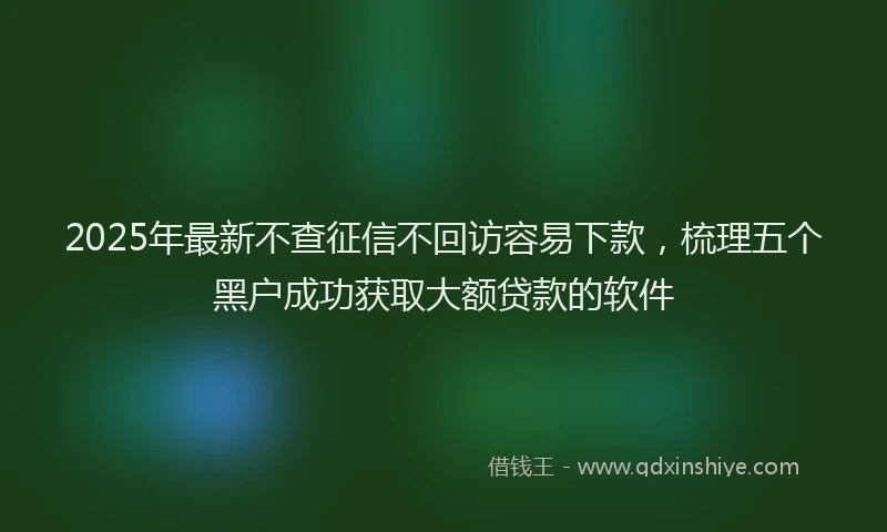 2025年最新不查征信不回访容易下款，梳理五个黑户成功获取大额贷款的软件