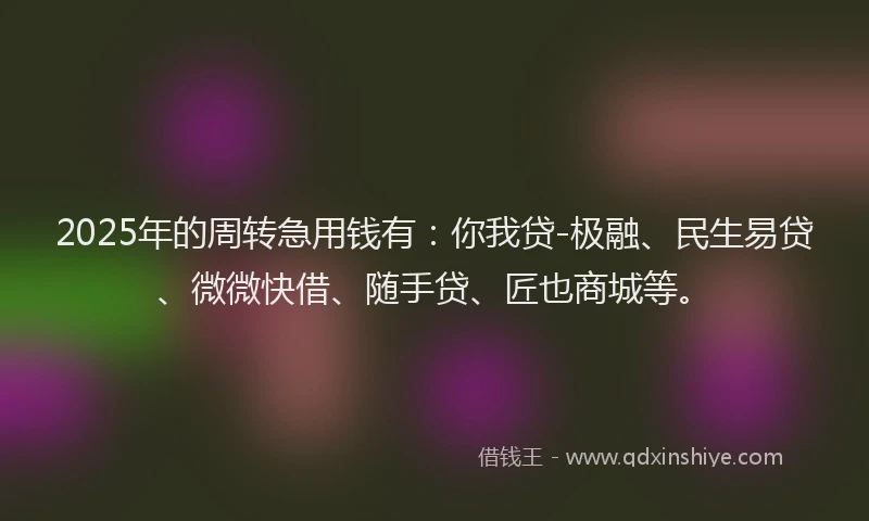 2025年的周转急用钱有：你我贷-极融、民生易贷、微微快借、随手贷、匠也商城等。
