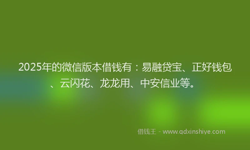 2025年的微信版本借钱有：易融贷宝、正好钱包、云闪花、龙龙用、中安信业等。