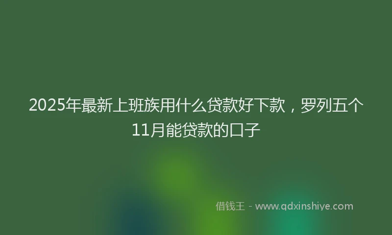 2025年最新上班族用什么贷款好下款，罗列五个11月能贷款的口子