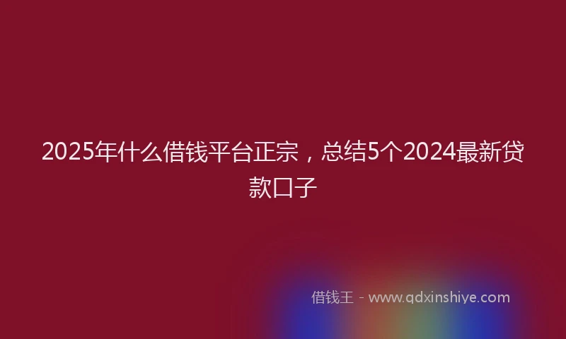 2025年什么借钱平台正宗，总结5个2024最新贷款口子