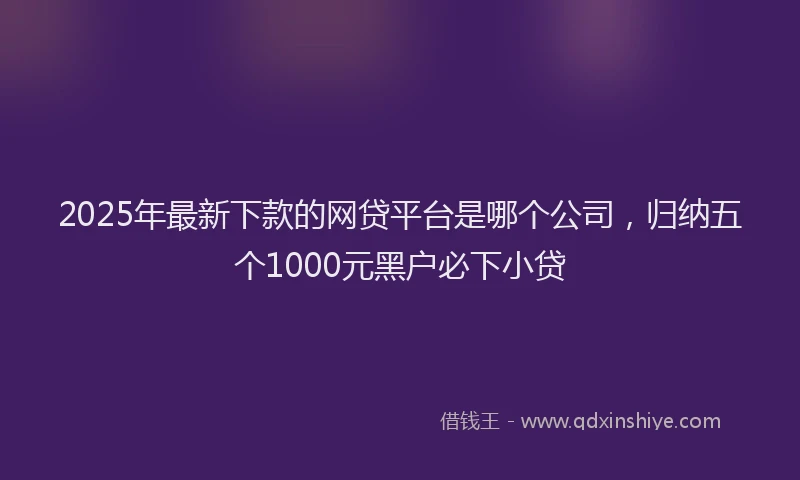 2025年最新下款的网贷平台是哪个公司，归纳五个1000元黑户必下小贷