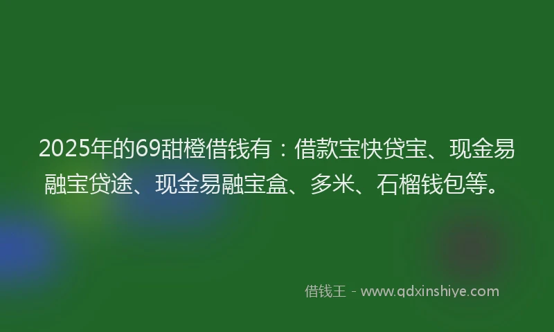 2025年的69甜橙借钱有：借款宝快贷宝、现金易融宝贷途、现金易融宝盒、多米、石榴钱包等。