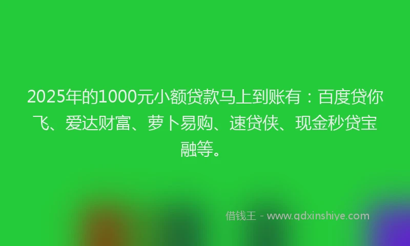 2025年的1000元小额贷款马上到账有：百度贷你飞、爱达财富、萝卜易购、速贷侠、现金秒贷宝融等。