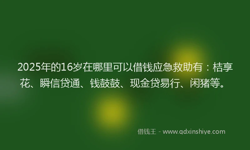 2025年的16岁在哪里可以借钱应急救助有：桔享花、瞬信贷通、钱鼓鼓、现金贷易行、闲猪等。