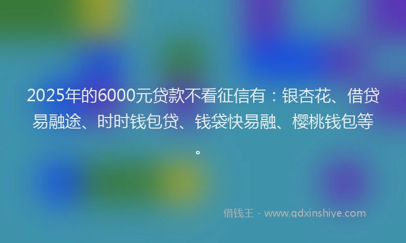 2025年的6000元贷款不看征信有：银杏花、借贷易融途、时时钱包贷、钱袋快易融、樱桃钱包等。