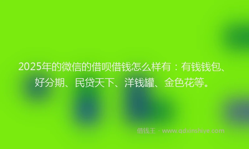 2025年的微信的借呗借钱怎么样有：有钱钱包、好分期、民贷天下、洋钱罐、金色花等。