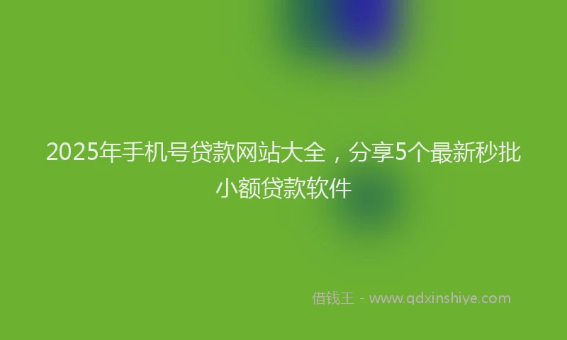 2025年手机号贷款网站大全，分享5个最新秒批小额贷款软件