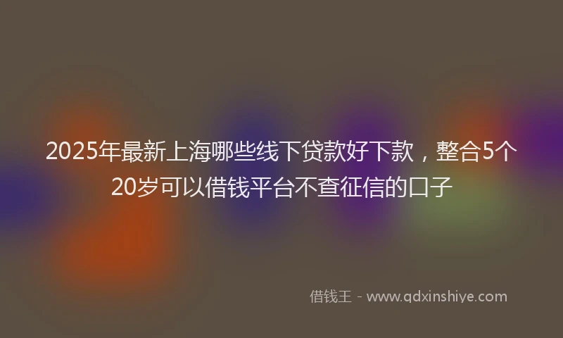 2025年最新上海哪些线下贷款好下款，整合5个20岁可以借钱平台不查征信的口子