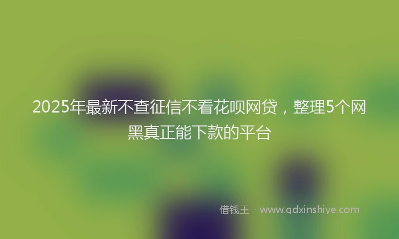 2025年最新不查征信不看花呗网贷，整理5个网黑真正能下款的平台