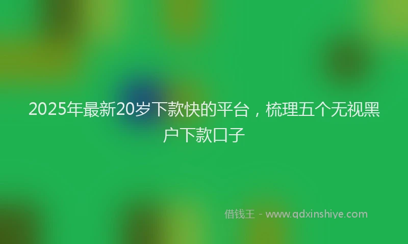 2025年最新20岁下款快的平台，梳理五个无视黑户下款口子
