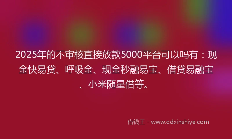 2025年的不审核直接放款5000平台可以吗有：现金快易贷、呼吸金、现金秒融易宝、借贷易融宝、小米随星借等。