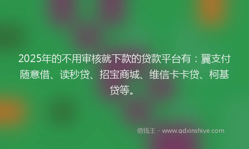 2025年的不用审核就下款的贷款平台有：翼支付随意借、读秒贷、招宝商城、维信卡卡贷、柯基贷等。