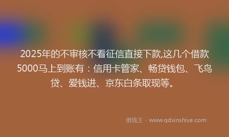 2025年的不审核不看征信直接下款,这几个借款5000马上到账有：信用卡管家、畅贷钱包、飞鸟贷、爱钱进、京东白条取现等。