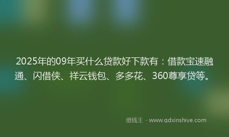 2025年的09年买什么贷款好下款有：借款宝速融通、闪借侠、祥云钱包、多多花、360尊享贷等。