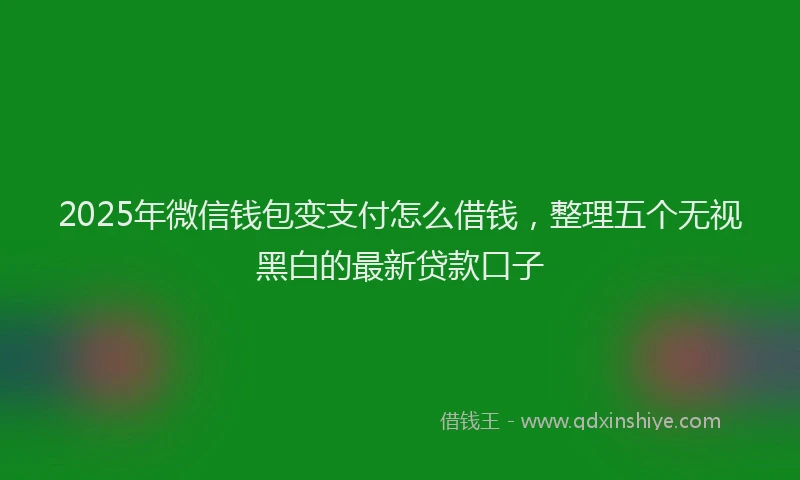 2025年微信钱包变支付怎么借钱，整理五个无视黑白的最新贷款口子