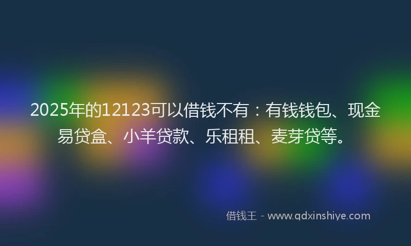 2025年的12123可以借钱不有：有钱钱包、现金易贷盒、小羊贷款、乐租租、麦芽贷等。
