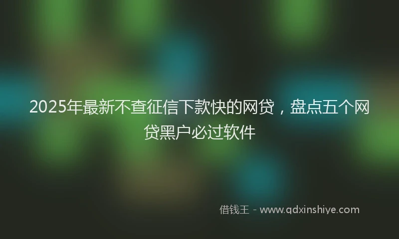 2025年最新不查征信下款快的网贷，盘点五个网贷黑户必过软件