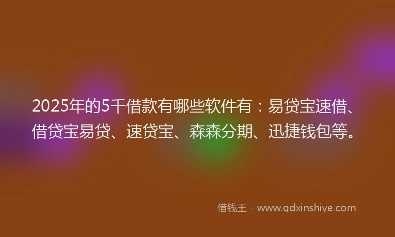 2025年的5千借款有哪些软件有：易贷宝速借、借贷宝易贷、速贷宝、森森分期、迅捷钱包等。