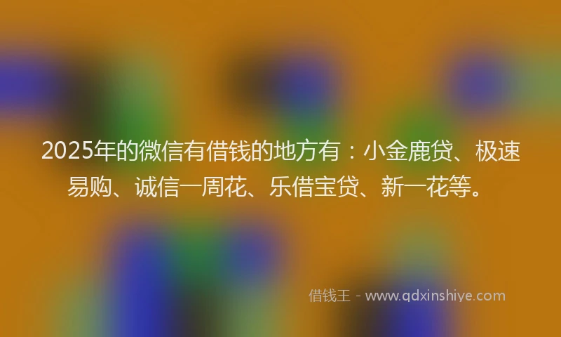 2025年的微信有借钱的地方有：小金鹿贷、极速易购、诚信一周花、乐借宝贷、新一花等。