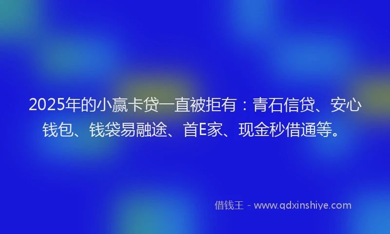 2025年的小赢卡贷一直被拒有：青石信贷、安心钱包、钱袋易融途、首E家、现金秒借通等。