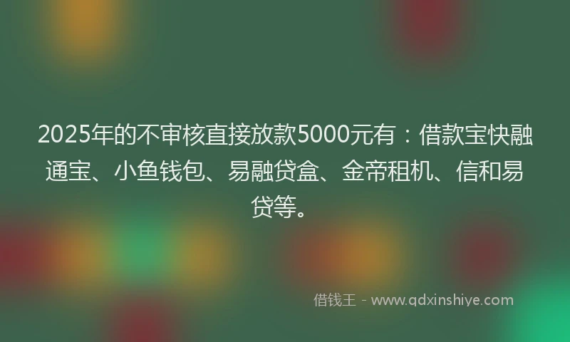 2025年的不审核直接放款5000元有：借款宝快融通宝、小鱼钱包、易融贷盒、金帝租机、信和易贷等。