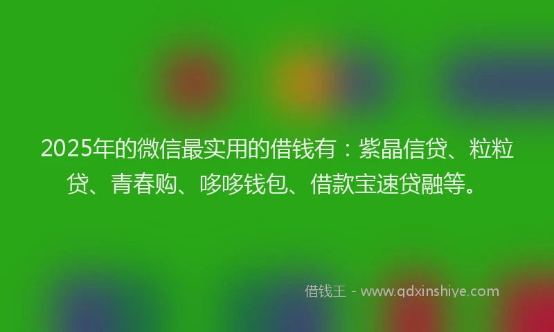 2025年的微信最实用的借钱有：紫晶信贷、粒粒贷、青春购、哆哆钱包、借款宝速贷融等。