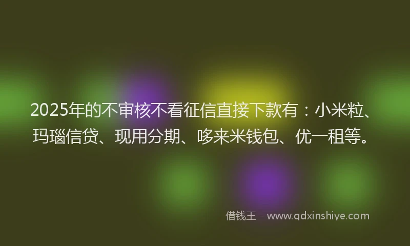 2025年的不审核不看征信直接下款有：小米粒、玛瑙信贷、现用分期、哆来米钱包、优一租等。
