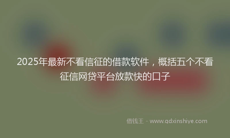 2025年最新不看信征的借款软件，概括五个不看征信网贷平台放款快的口子
