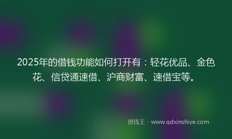 2025年的借钱功能如何打开有：轻花优品、金色花、信贷通速借、沪商财富、速借宝等。