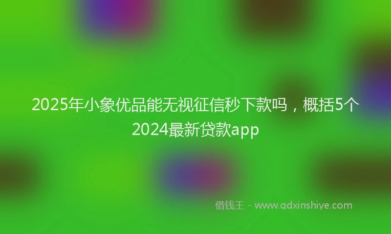 2025年小象优品能无视征信秒下款吗，概括5个2024最新贷款app